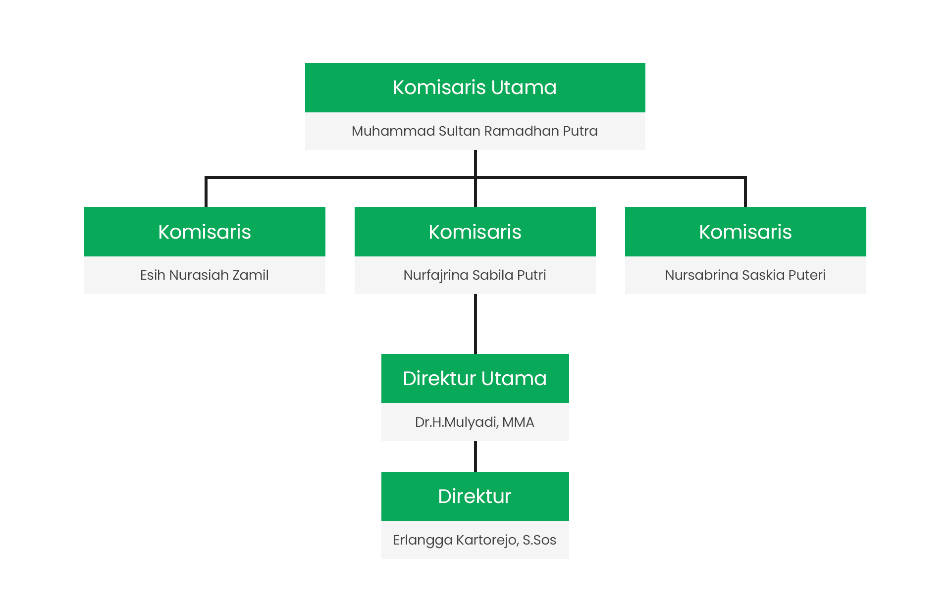 Struktur Organisasi Sultan Sinergi Indonesia C